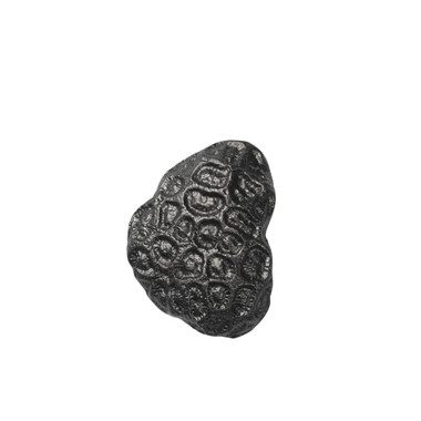 Comber Coral Hook Comber Coral Hook