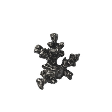 Comber Coral Branch Hook Comber Coral Branch Hook