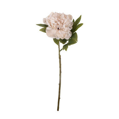 Peony Evening Dew Stems - Set of Four by  – front view