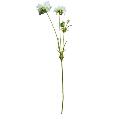 Artificial Cream Scabious Flower Stems - Set of Four by  – front view