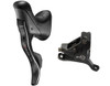 Campagnolo Record H12 Hydraulic Flat Mount Ergo 12 Speed Shifters