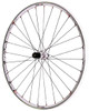 DT-Swiss RR-1450 Mon Chasseral Rear Wheel