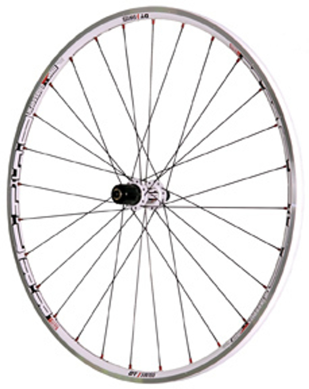 DT SWISS RR-1450 アルミホイール Texas Cyclesport DT-Swiss RR-1450 Mon Chasseral Rear Wheel