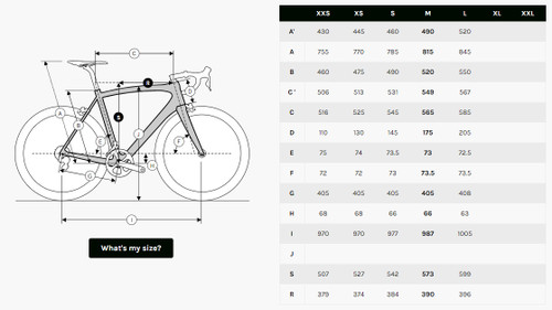 ridley noah 24t