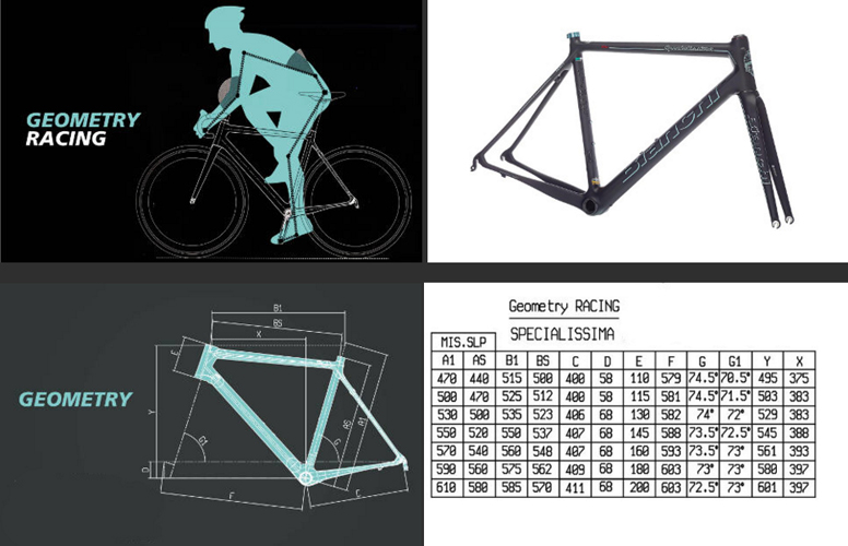 bianchi-specialissima-geo1.jpg