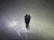 Monster 1/2" 6 Flute Carbide CR REG Endmill 1/2" Shank .12" R 292-301207 (LOC295)
