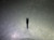 Monster 1/4" 6 Flute Carbide CR Reg Endmill 1/4" Shank .06" R 292-301135 (LOC3603A)
