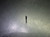 Monster 3/16" 5 Flute Carbide CR Reg Endmill 3/16" Shank .03" R 295-020189B (LOC3575)