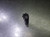 Harvey Tool 1/2" 7 Flute Carbide CR Endmill 1/2" Shank .03" R 883532-C6 (LOC2134A)