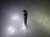 Walter 10.9mm Coolant Thru 8xD Carbide Drill A6485TFT-10.9 (LOC2202)