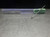 Walter 3/32" Coolant Thru Carbide Drill 3mm Shank A6989AMP-3/32IN (LOC2143B)