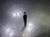 Mikron CrazyDrill 3.7mm Carbide Step Drill 6mm Shank 2.PD.03700.090 (LOC1932)