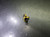 LMT.FETTE M12x1.75 ISO2 6H HSS-E-PM SP Tap 1393960 (LOC2761A)