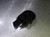 Sandvik SL32 Coolant Thru Grooving Head 570-32L123G18B067B (LOC2479)