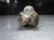 AMEC T-A #4 1.85-2.57" Coolant Thru Spade Drill MT#5 Shank 24040S-005I (LOC1665)