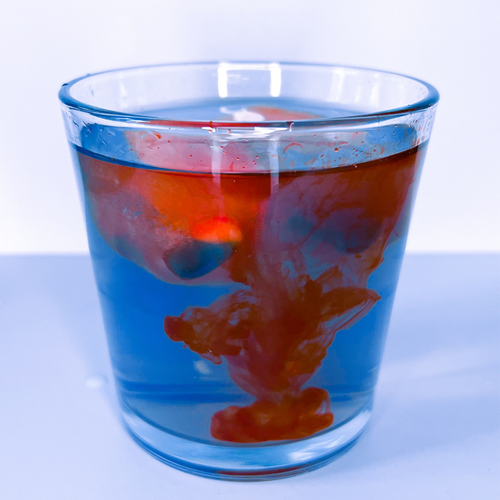 Shark Attack Water 