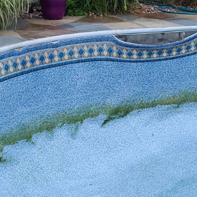 Blue pool