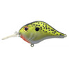 Bill Lewis MR-6 Crankbait