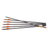 CP400 Select Carbon 20" Arrows 6-Pack by CenterPoint Archery