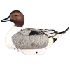 Active Drakes - HydroFoam Pintails 6-Pack Duck Decoys by Heyday