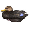 Hen - HydroFoam Black Ducks 6-Pack Duck Decoys by Heyday