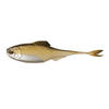 Fiction Shad 3.4" Swimbait Fiction Shad 3.4" Swimbait