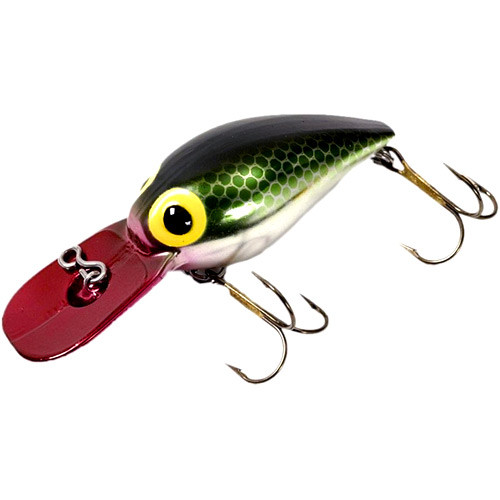 Brad's Lil' Wigglers 2
