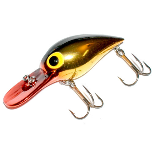 Brad's Wigglers 3
