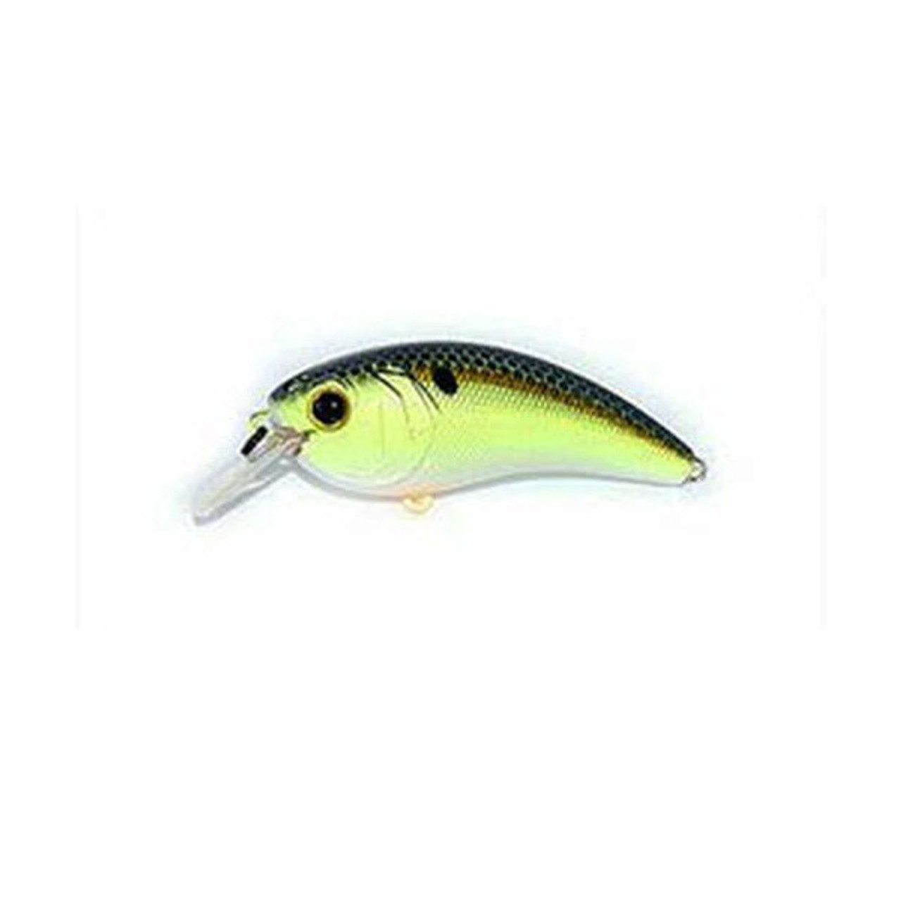 shallow diving crankbaits