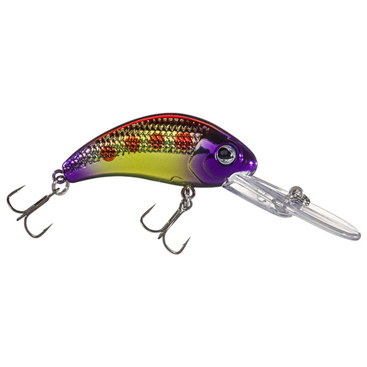 Shad Walleye Ready Rigs- 2 Pack- Jason's Purple Perch