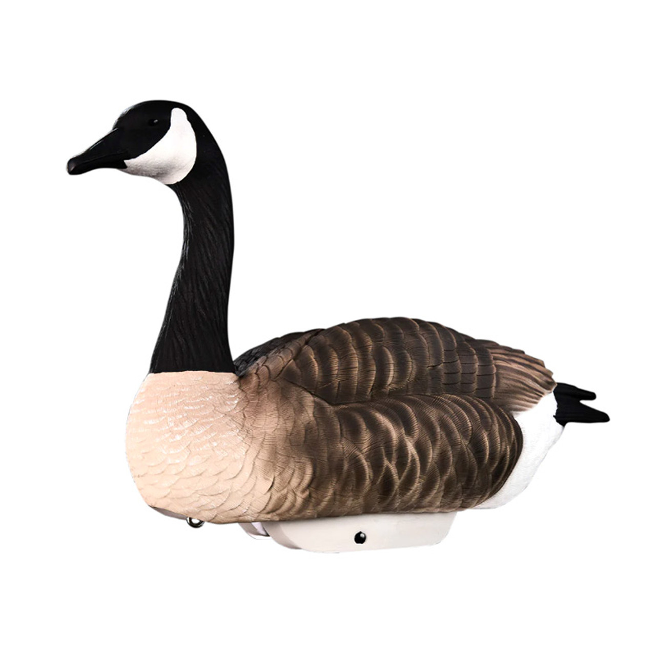 Sentry - HydroFoam Canada Geese 4-Pack Goose Decoys by Heyday