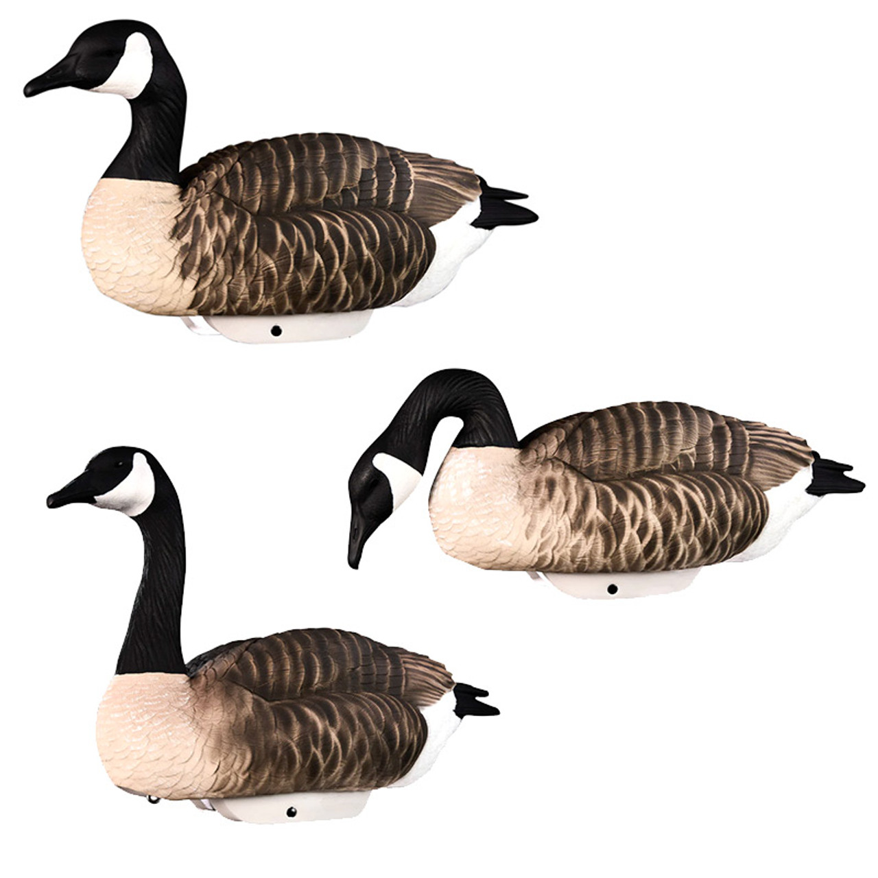 HydroFoam Canada Geese 4-Pack Goose Decoys by Heyday