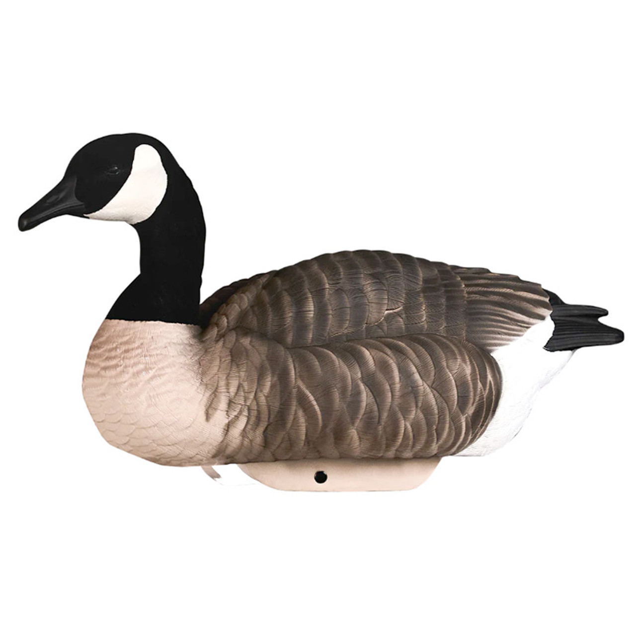 Active - HydroFoam Flocked Head Canada Geese 4-Pack Goose Decoys by Heyday