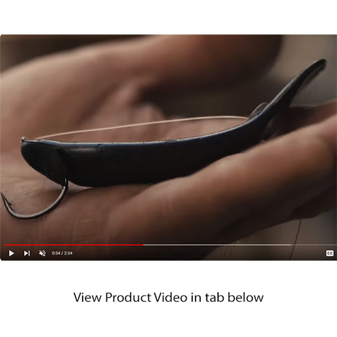 Recoil Minnow 4.25" Bait - Rigged Video