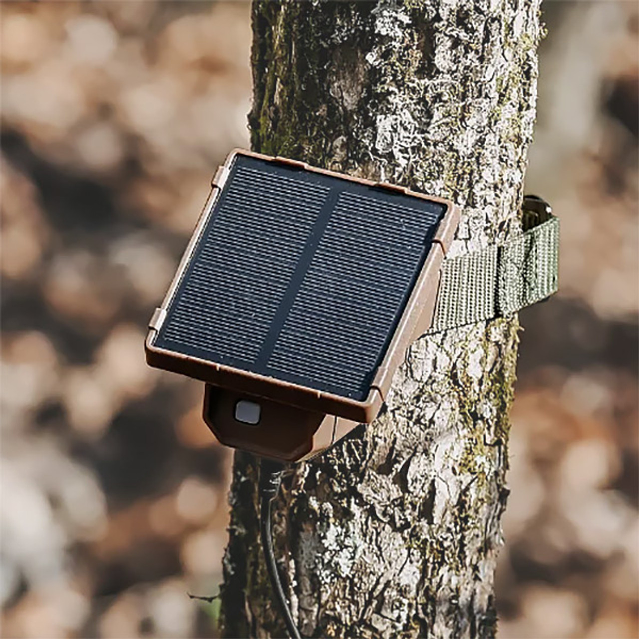 Universal Solar Trail Camera Battery Pack by Browning