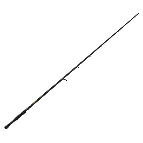 Legend Xtreme Spinning Rod