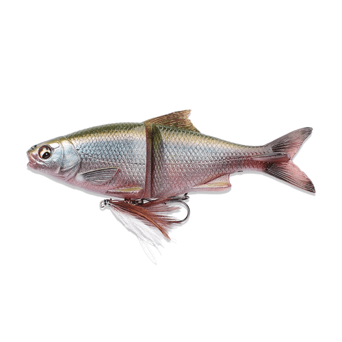 Swimbaits at the VanDam Warehouse