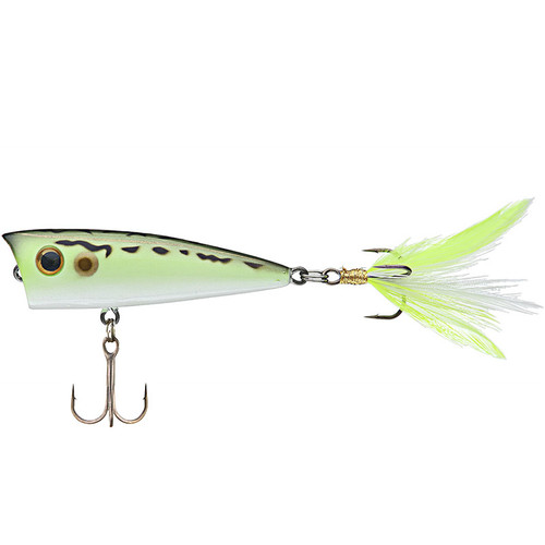 Rico 1/4 oz Topwater Popper by Lobina Lures
