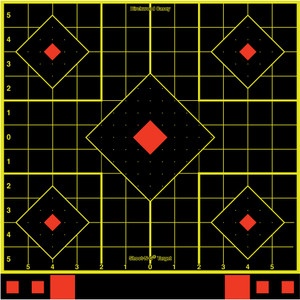 B/C SHT-N-C SIGHT-IN TGT 12-12"