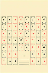 ACTION CARD2100       PLAYNG CARD2 TARGET    100BX