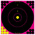 BIR 34027          SHOOT-N-C 12" BULLSEYE PINK 5PK