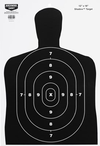 BIR 37202          EZESCORER 12X18 BC27 TRGT  10PK