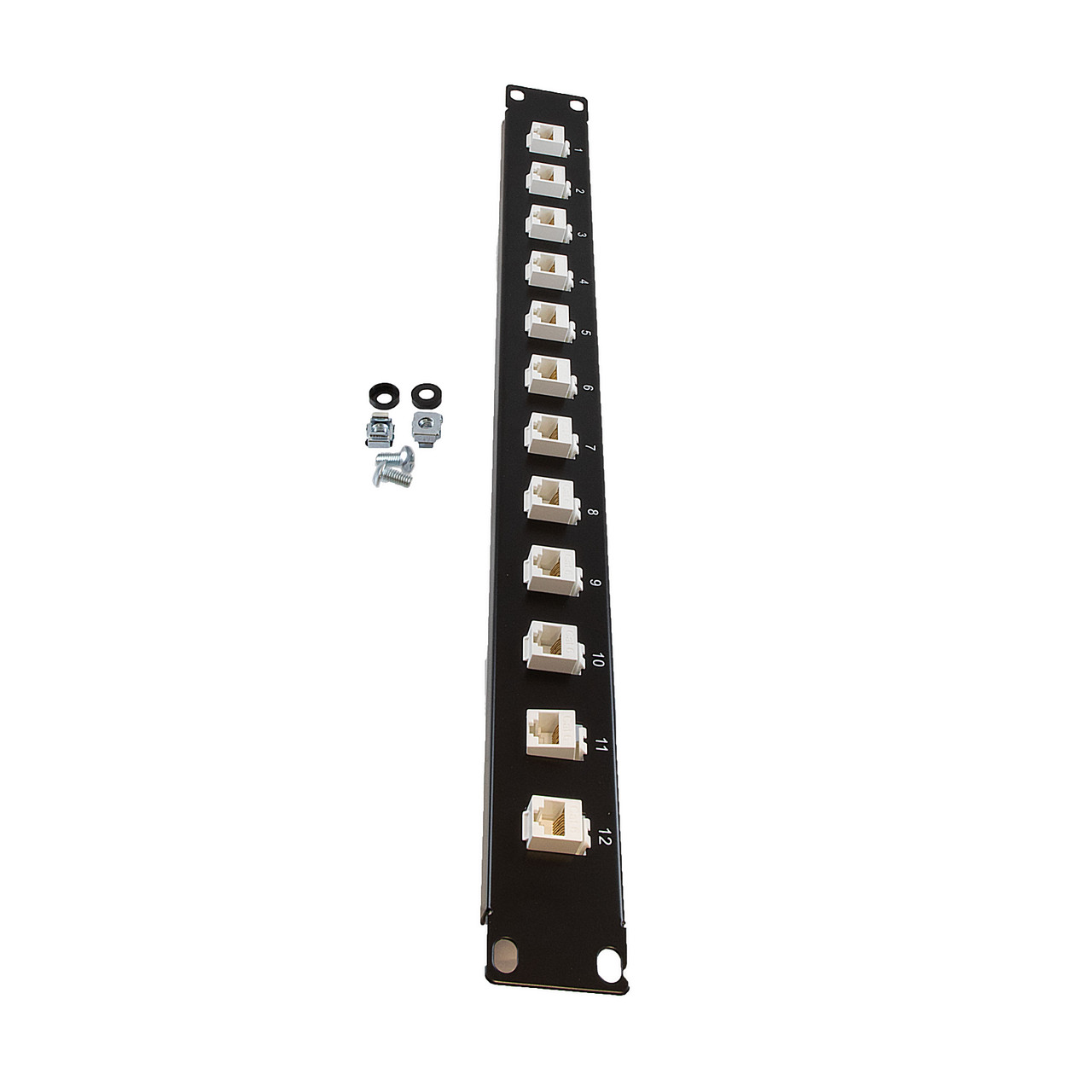 1U (1.75") 19 Inch Panel with 12 Cat6 Mini-Couplers