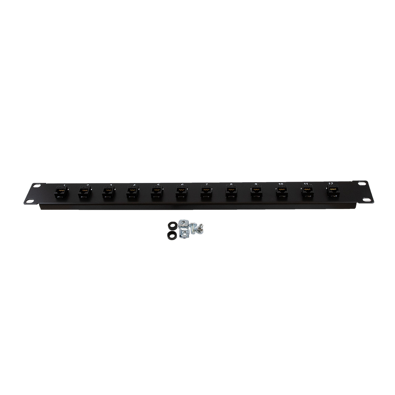 1U (1.75") 19 Inch Panel with 12 Cat5e Couplers