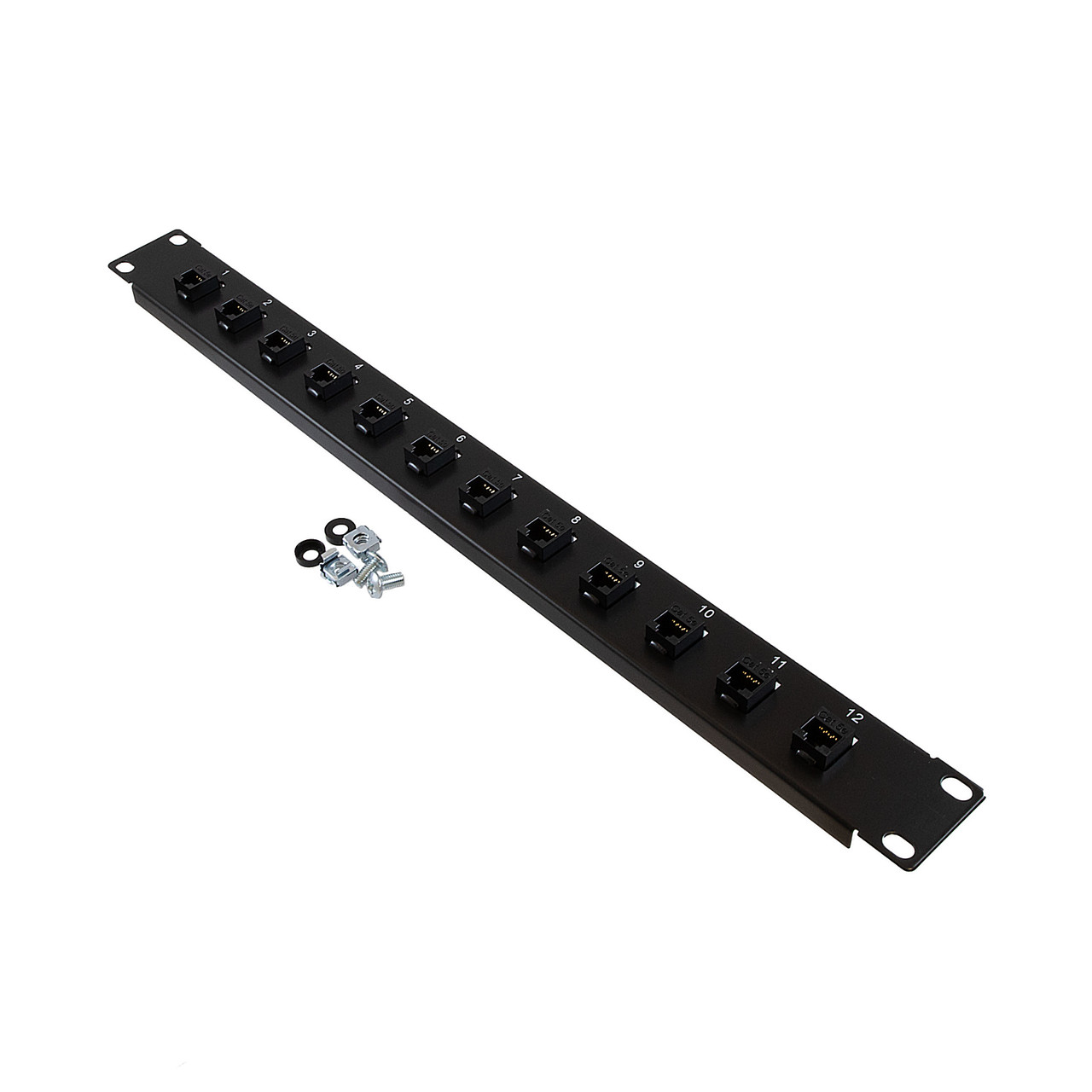 1U (1.75") 19 Inch Panel with 12 Cat5e Couplers