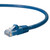 NavePoint Cat6 UTP Ethernet Network Patch Cable - 1 Ft. Blue
