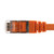 Ethernet Patch Cable CAT6, F/UTP, 26AWG, 0.5 Ft ,  5 pack, Orange