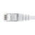 Ethernet Patch Cable CAT6, F/UTP, 26AWG, 1 Ft,  5 pack, White