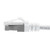 Ethernet Patch Cable CAT6, F/UTP, 26AWG, 2 Ft,  5 pack, White