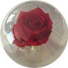 OTBB Clear Rose Bowling Ball